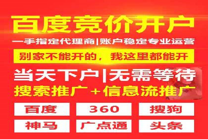 探索SEM代运营公司的经典案例与策略